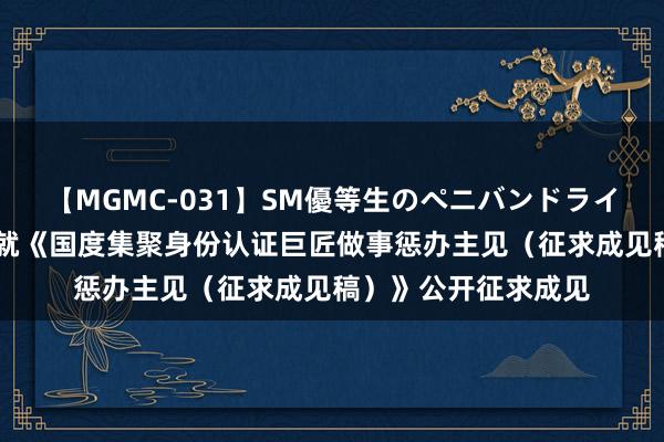 【MGMC-031】SM優等生のペニバンドライオーガズム 两部门就《国度集聚身份认证巨匠做事惩办主见（征求成见稿）》公开征求成见