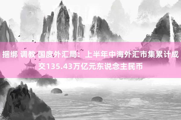 捆绑 调教 国度外汇局：上半年中海外汇市集累计成交135.43万亿元东说念主民币