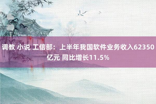 调教 小说 工信部：上半年我国软件业务收入62350亿元 同比增长11.5%