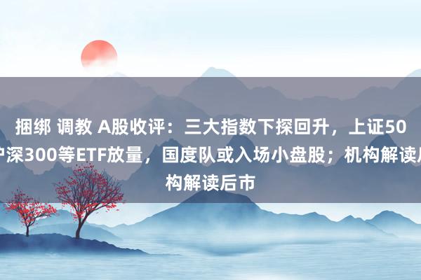 捆绑 调教 A股收评：三大指数下探回升，上证50、沪深300等ETF放量，国度队或入场小盘股；机构解读后市