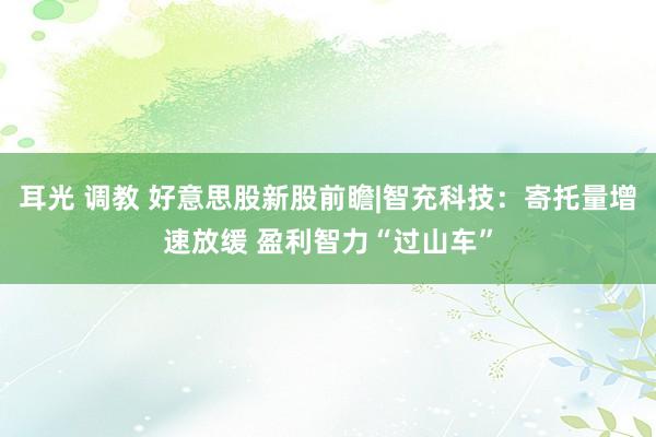 耳光 调教 好意思股新股前瞻|智充科技：寄托量增速放缓 盈利智力“过山车”