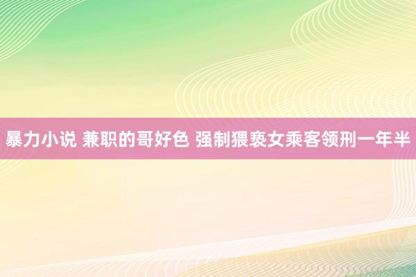 暴力小说 兼职的哥好色 强制猥亵女乘客领刑一年半