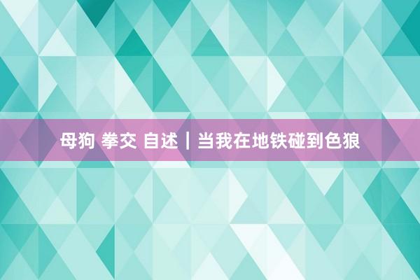 母狗 拳交 自述｜当我在地铁碰到色狼