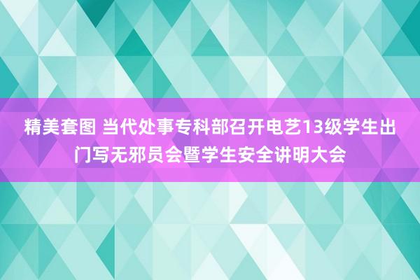 精美套图 当代处事专科部召开电艺13级学生出门写无邪员会暨学生安全讲明大会